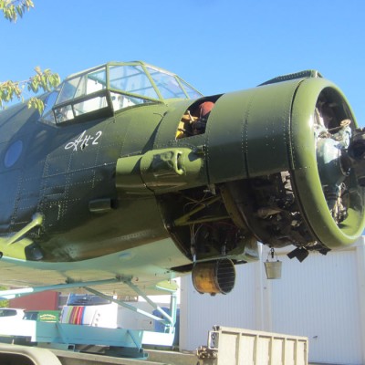 Nico-langehegermann-image-13