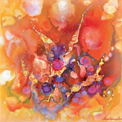 Nico-langehegermann-image-6